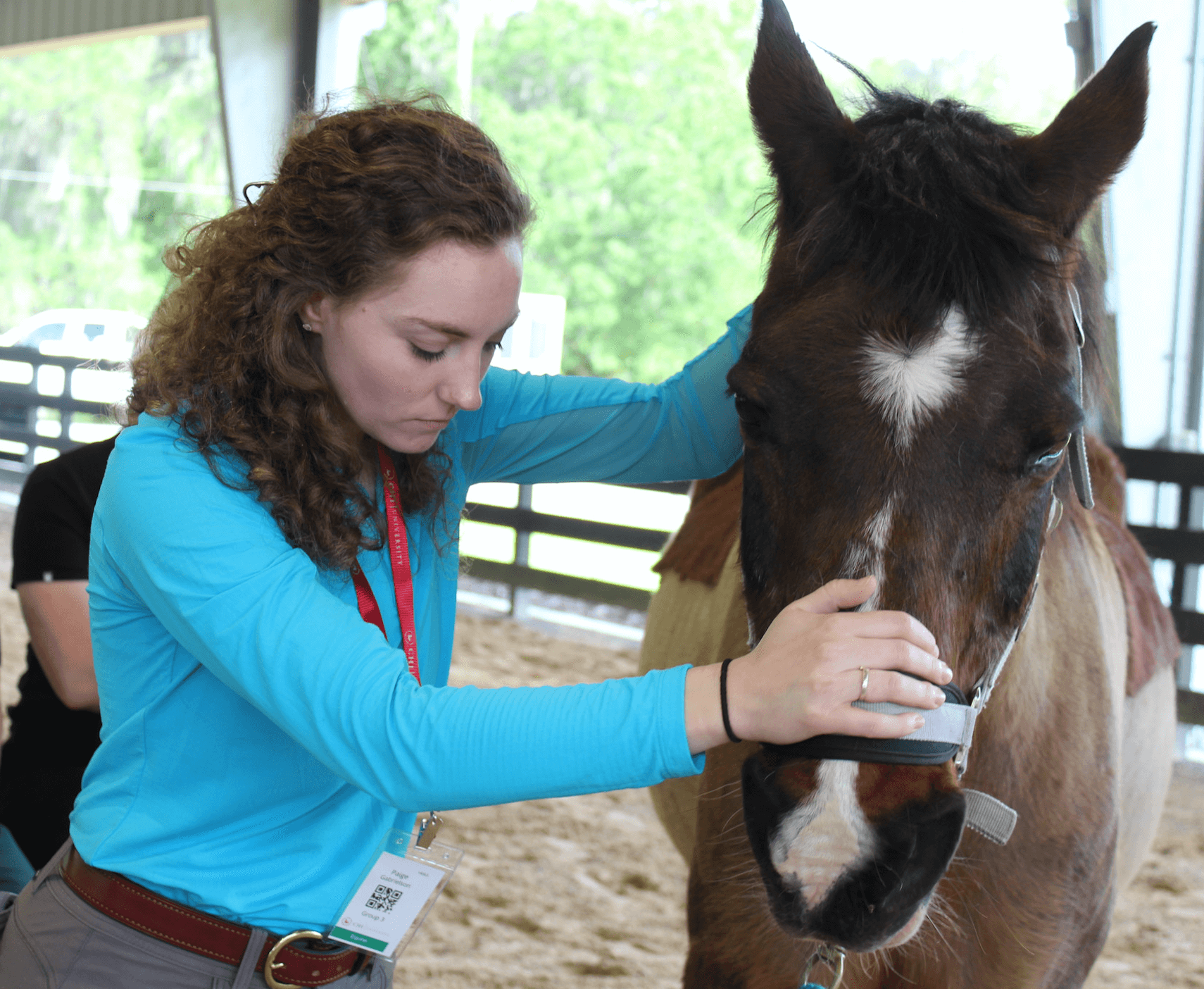 Equine Lameness Evaluations  Glenwood, MN 