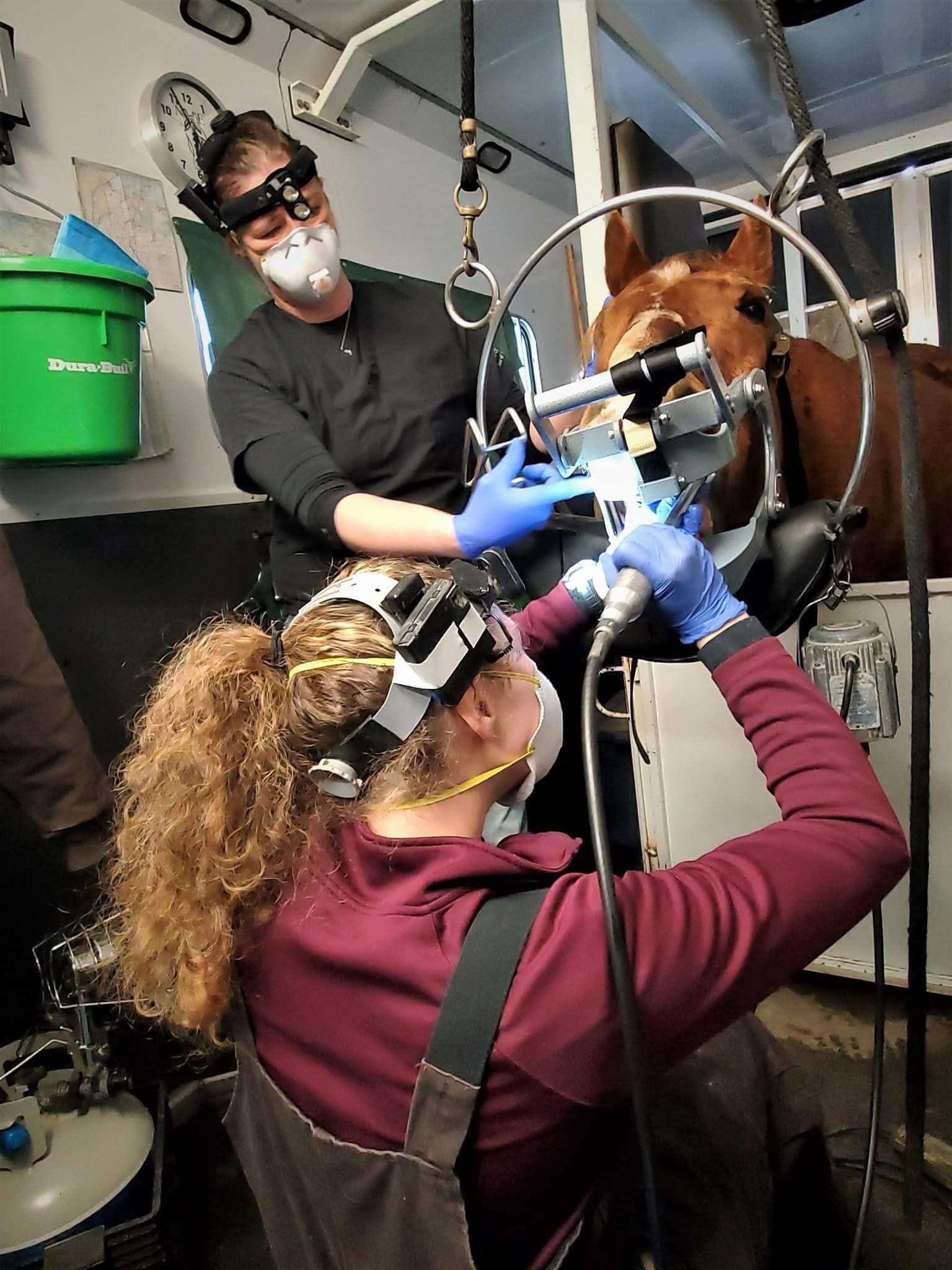 Equine Primary Care  Glenwood, MN 